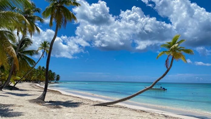 🌴Домініканська республіка. Виліт із Франкфурта
